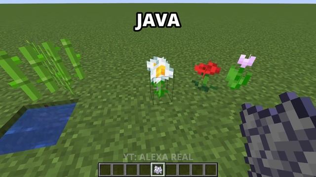java vs bedrock v6 смотреть онлайн