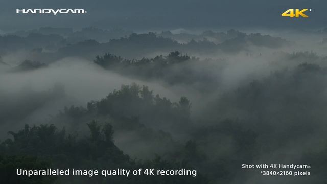 FDR-AX1 смотреть онлайн