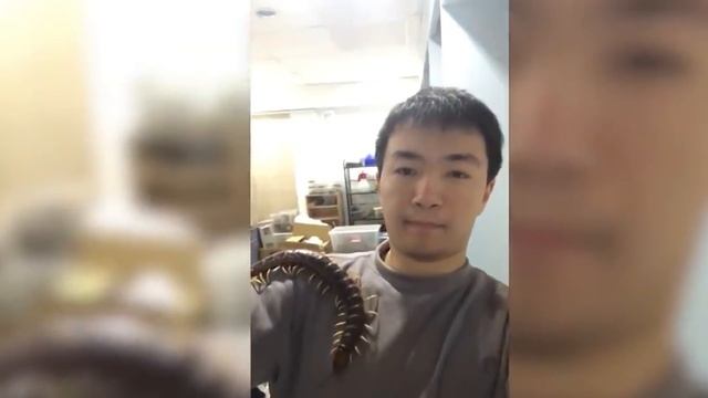 Top 20 MOST Terrifying Insects