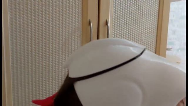 Фурсьют, скулдог маска смотреть онлайн