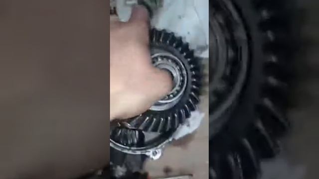 Ремонт переднего редуктора cf moto 800 смотреть онлайн