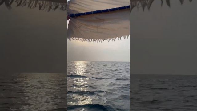 Индийский океан. Танзания. #travel #турагент #tanzania #красиво #путешествия #горящиетуры смотреть онлайн