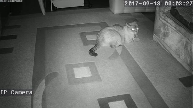 IMIEYE 720p night video смотреть онлайн