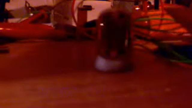 IN-12A Nixie Tube Demo смотреть онлайн