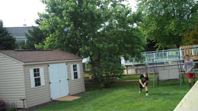 Amazing Baseball Game in the Backyard смотреть онлайн