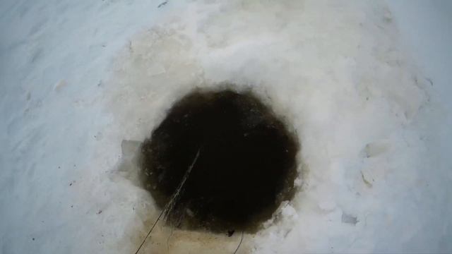 #проверка сети смотреть онлайн