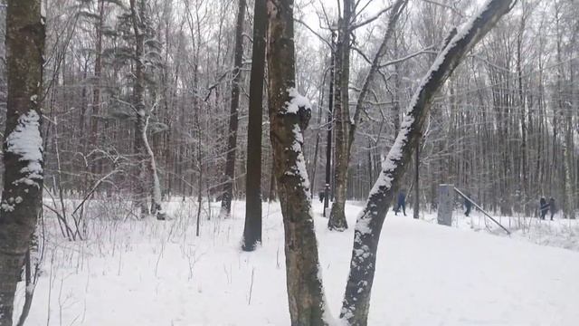 Сны и предвестники февраля 2022 года. смотреть онлайн