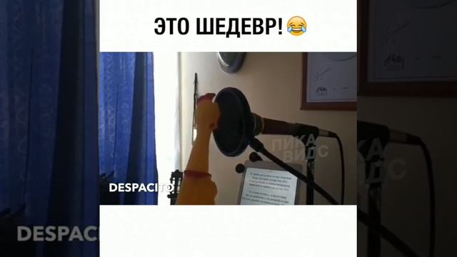 Песню деспасит исполняет курица смотреть онлайн