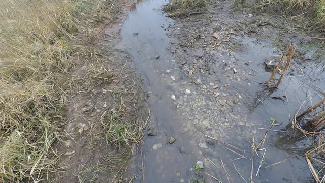 пруды,рыбачим на облове прудов смотреть онлайн