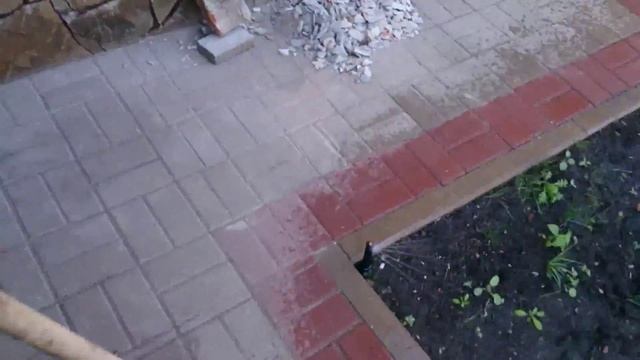 Каким не должен быть полив! статика и мп ротаторы смотреть онлайн