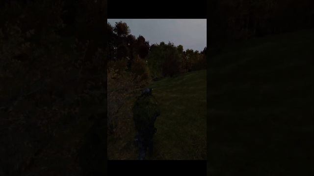 DayZ смотреть онлайн
