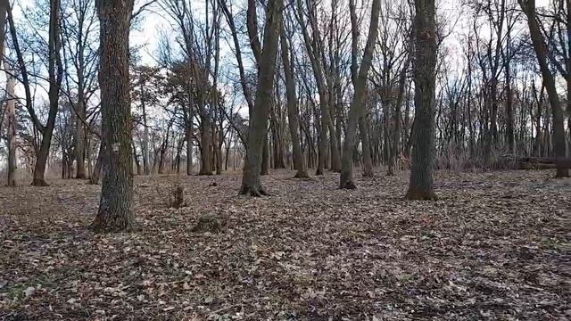 Коп х-терой 505 в старом заброшенном парке возле пруда, советы прут UA. смотреть онлайн
