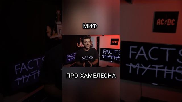 МИФ ПРО ХАМЕЛЕОНА #Shorts #мифы #utopiashow #хамелеон смотреть онлайн