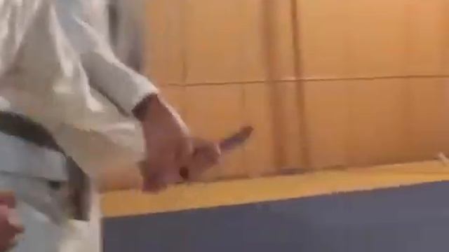 айкидо ренсенкай смотреть онлайн