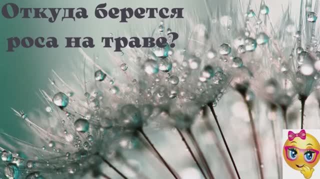 Откуда берётся роса на траве_.mp4 смотреть онлайн