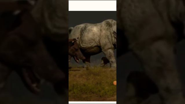 Бронтотерий