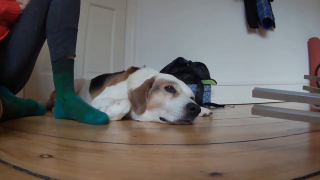 Terapia kamertonami z Wally смотреть онлайн