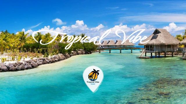 Calvin Harris - Summer Tropical Remix 2016  Tropical Vibe