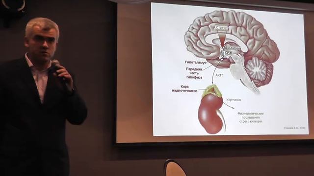 "Границы силы слова" Е.С. Курасов часть 2 смотреть онлайн