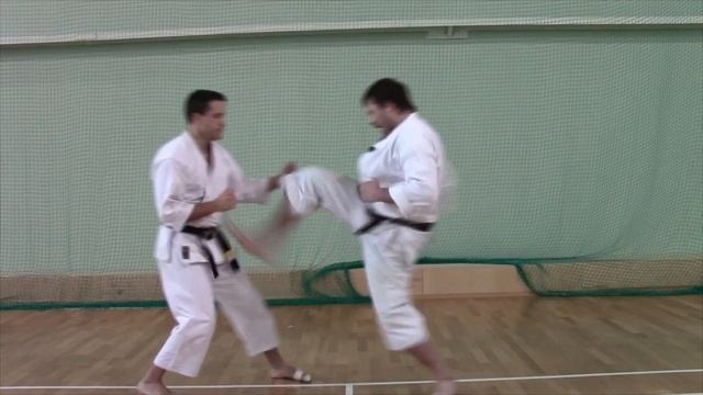 Мае-гери. Прямой удар ногой в карате (часть 3) смотреть онлайн