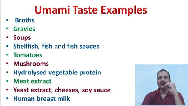 Tongue structure and function смотреть онлайн