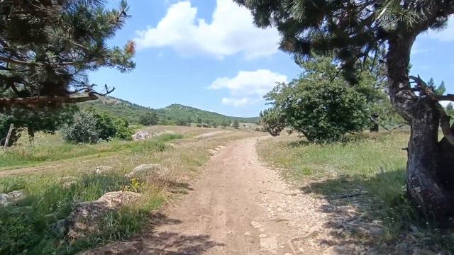 Большое путешествие 2022.Часть 3 смотреть онлайн
