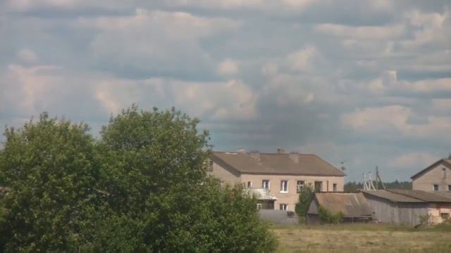 Коршун, щенки, куропатки, куры смотреть онлайн