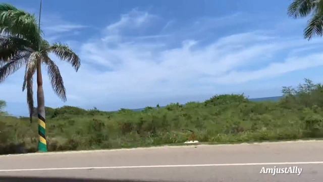 Road trip to the Mobay| Beach| Airport| Saw a star fish| Jamaica vlog смотреть онлайн