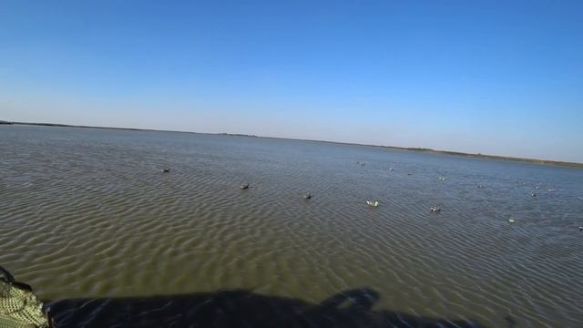 ГДЕ УТКА!? ПОЧЕМУ ДВЕ??? смотреть онлайн