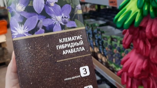 ОБИ обзор растений и семян на внимательность. Теплички и лук севок. смотреть онлайн