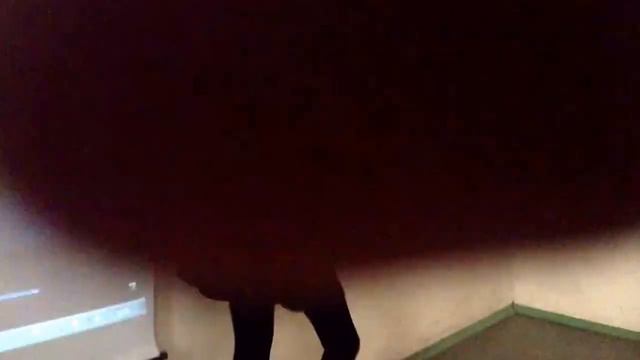 Великолепная $$$$$$$$$ Юлия Андреевна$$$$$$$$ смотреть онлайн