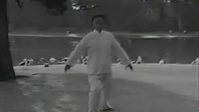 Специальный комплекс упражнений из тайцзи цюань семьи Чень на развитие специфического усилия Чань с смотреть онлайн