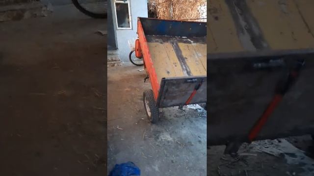 Муравей самосвал предфинальное видео. смотреть онлайн