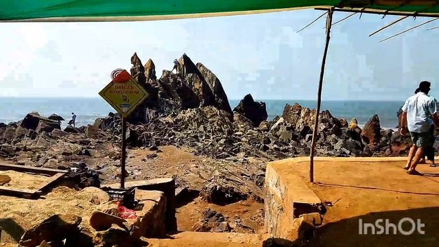 Дерево-чудовище. Полиция и Португальский кораблик. Гоа 2023. смотреть онлайн