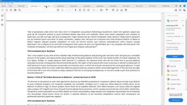 Adobe Acrobat Reader Tutorial - Lesson 2 - Opening PDF Document and Page Navigation