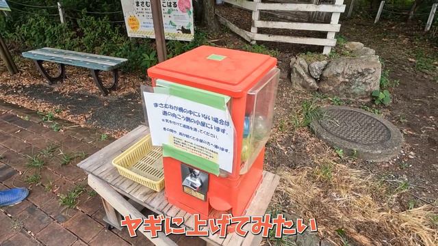 大混乱の夏の自由研究！お姉ちゃんには恐怖体験でした！もう宿題終わりましたか？！ смотреть онлайн