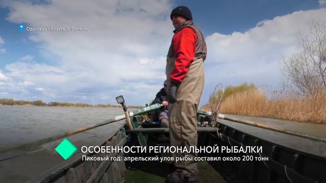 Проект Кругозор. Особенности региональной рыбалки: апрельский улов рыбы составил около 200 тонн смотреть онлайн