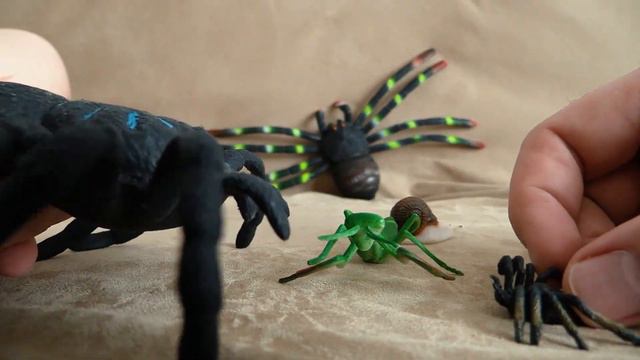 Про пауков и насекомых мультик смотреть онлайн