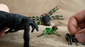 Про пауков и насекомых мультик