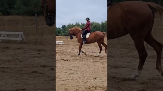 Фрося после долгого перерыва вернулась к тренировкам. смотреть онлайн