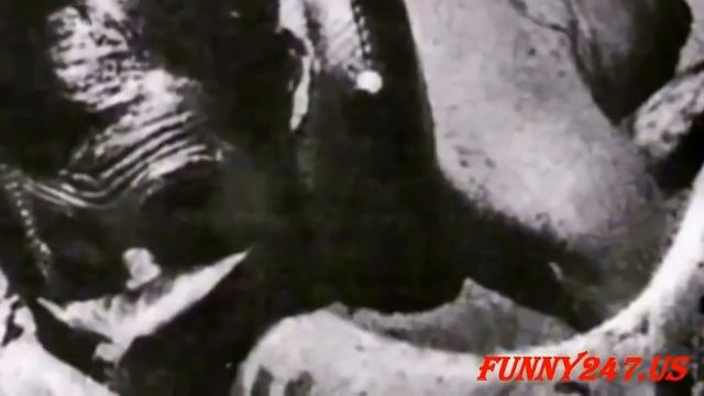 Biggest python snake - Giant anaconda attacks human - Giant Anaconda vs Jaguar, deer – Prin смотреть онлайн