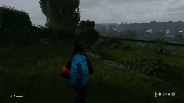 DayZ Apocalypse Zurvivors (Livonia) смотреть онлайн
