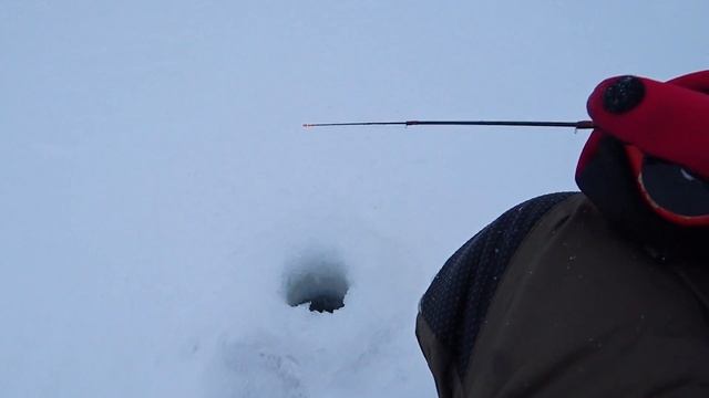 ЧТО ЭТИ ЩУКИ СЕБЕ ПОЗВОЛЯЮТ ! Расставил жерлицы на 24 часа на заброшенном пруду! Зимняя рыбалка 201 смотреть онлайн