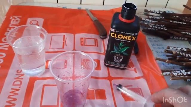 Школа А.П. Рыкалина. Один из способов укоренения черенков винограда смотреть онлайн