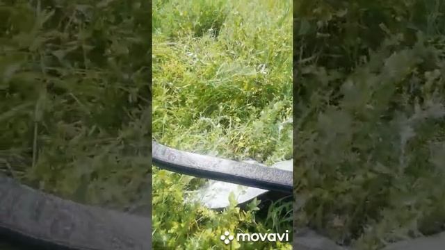 Конный плуг смотреть онлайн