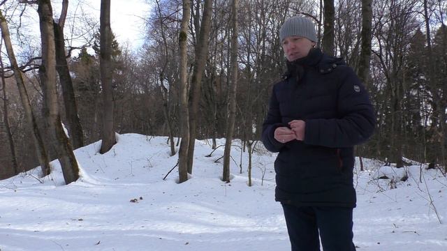 Два важных лета Василия Дмитриевича Поленова смотреть онлайн