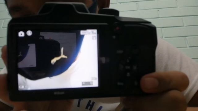 Mi Primera Cámara| Nikon Coolpix B600 ?? смотреть онлайн