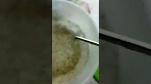 в воде лучший способ проращивания семян павловнии