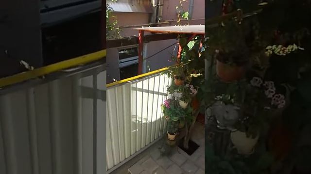 Отличный отдых в гостевом доме Савельев, Лазаревское 16.06.2019 смотреть онлайн
