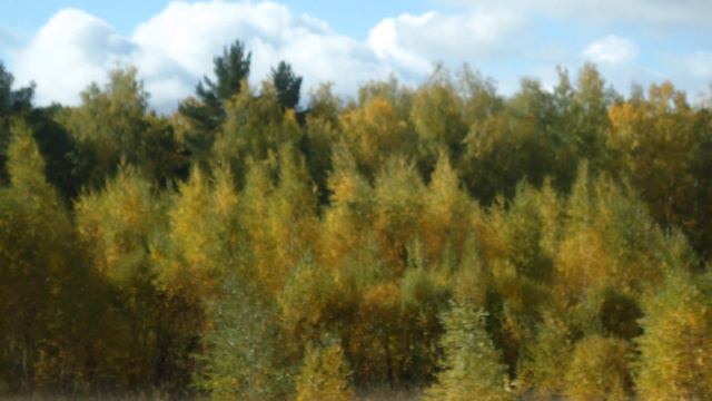 Осень, она не спросит,осень, она придёт. смотреть онлайн